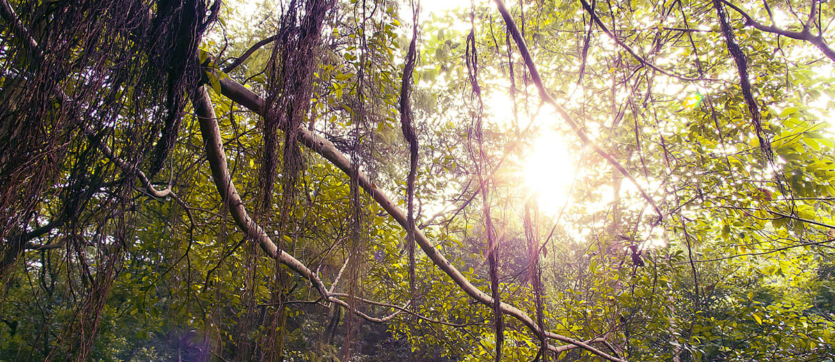 2835526157.jpg 2.jpg