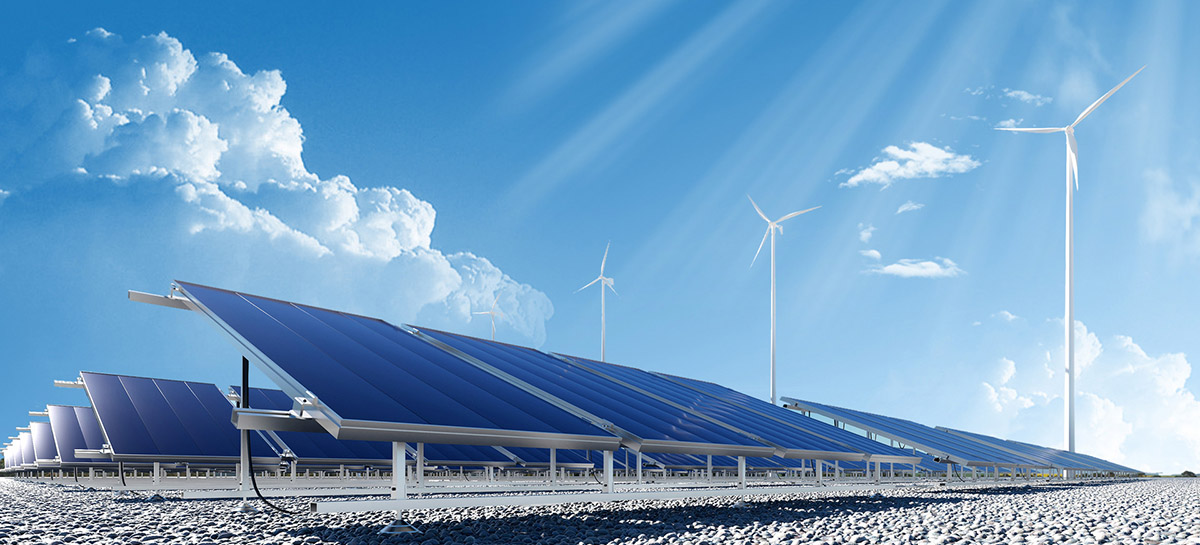 5336306154.jpg 3.jpg