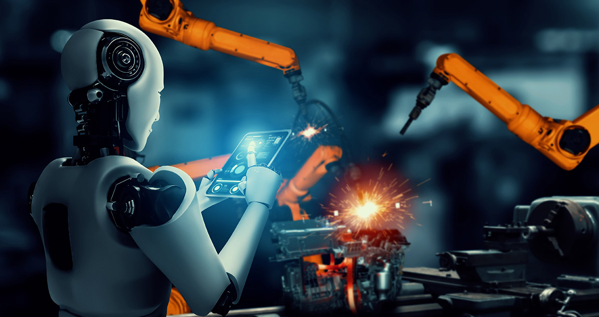 5587644185.jpg 1.jpg