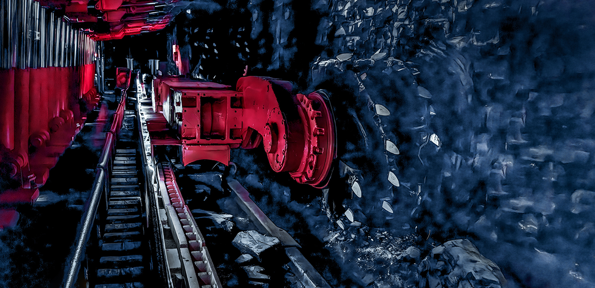 4880359665.jpg 1.jpg